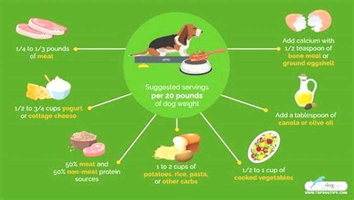 homemade diet in dog