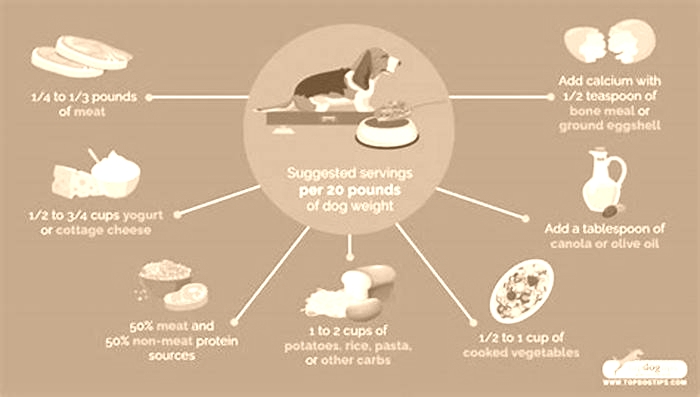 homemade dog diet calculator