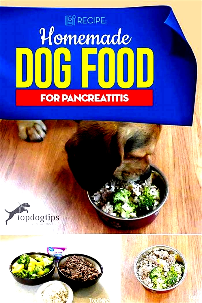 homemade dog diet for pancreatitis