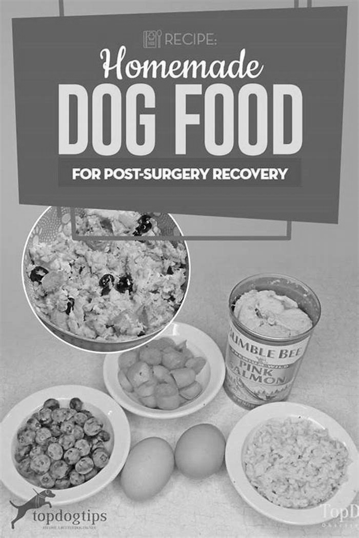 homemade dog food after dental surgery