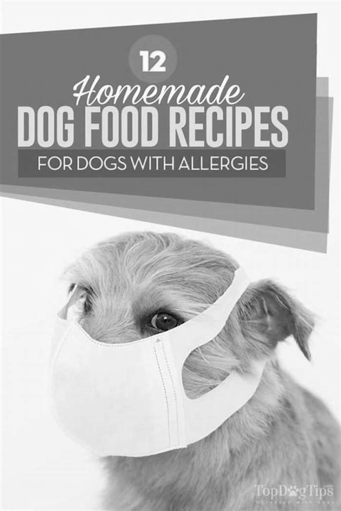 homemade dog food allergies