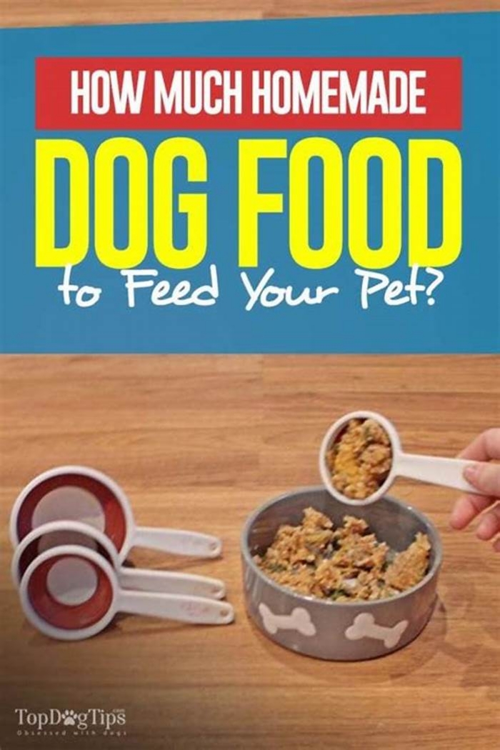 homemade dog food amount per day