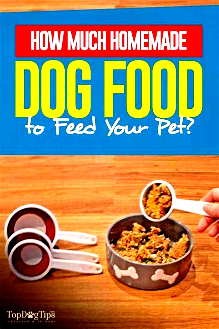 homemade dog food amount to feed