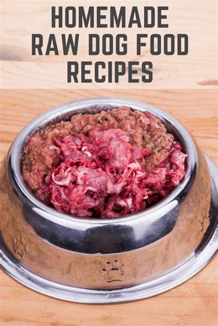 homemade dog food australia