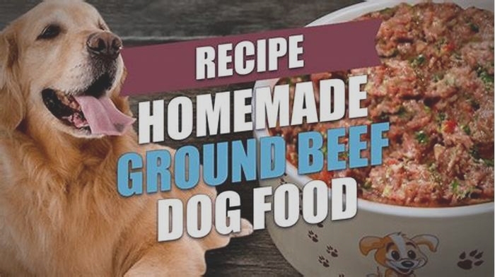 homemade dog food beef