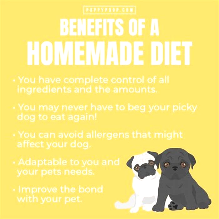 homemade dog food benefits