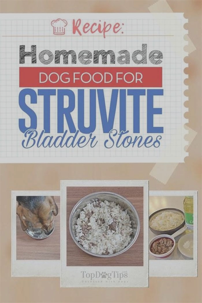 homemade dog food bladder stones