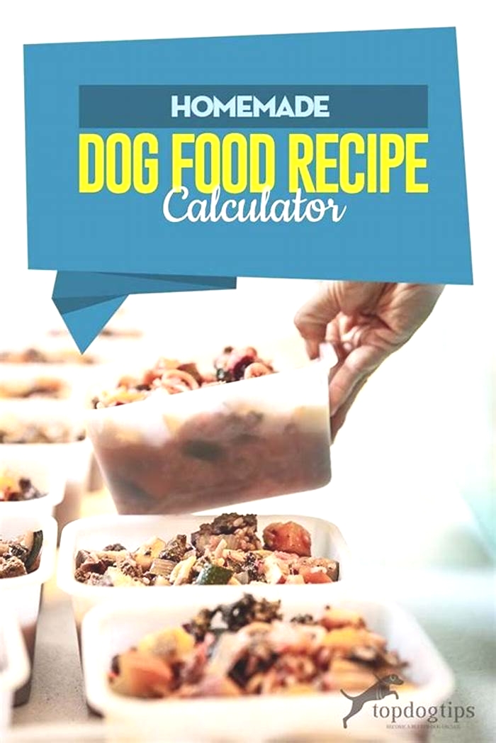 homemade dog food calculator app