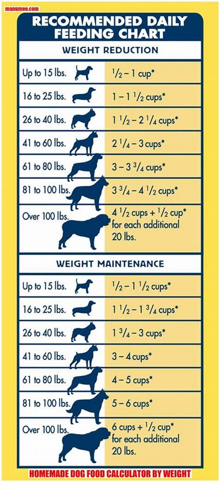 homemade dog food calculator by weight