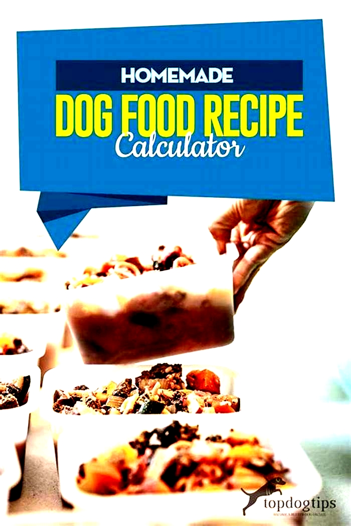 homemade dog food calorie calculator