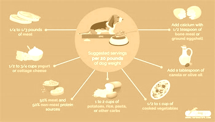 homemade dog food chart