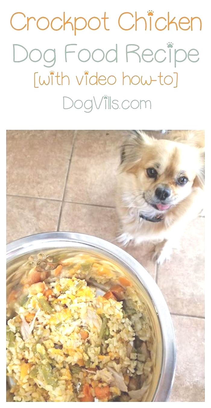 homemade dog food chicken recipe