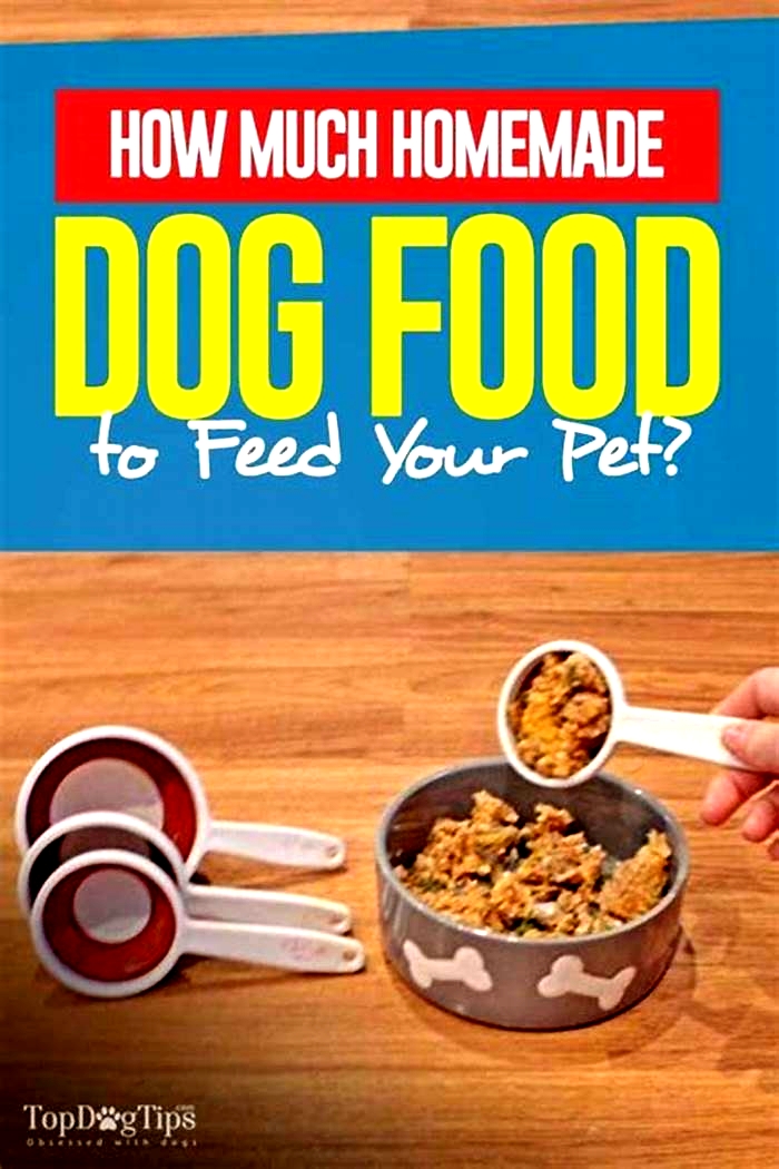 homemade dog food cost