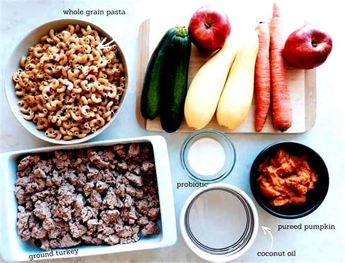 homemade dog food diet to lose weight