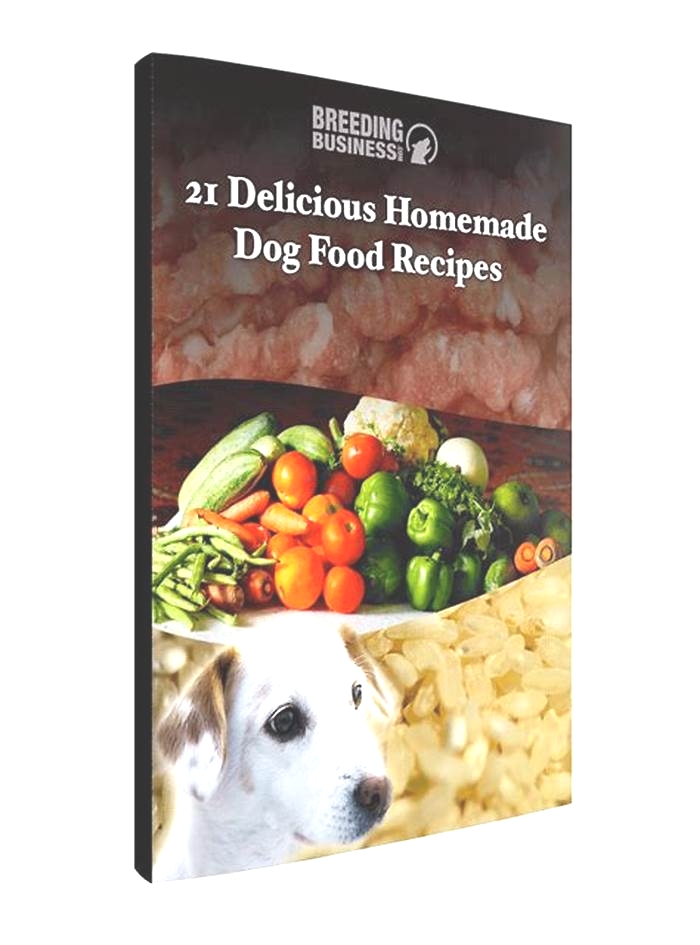 homemade dog food - ebook