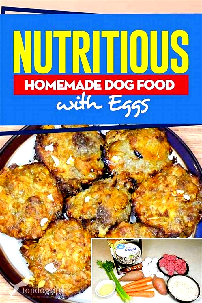 homemade dog food eggs