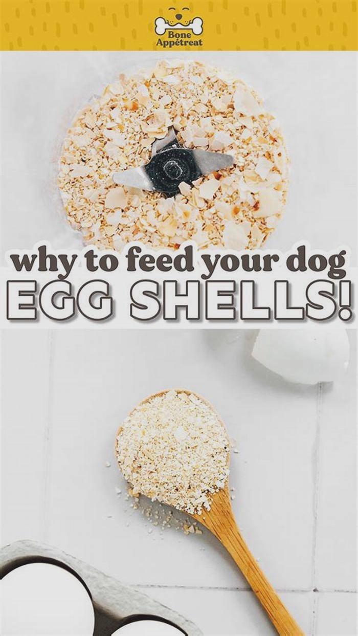 homemade dog food eggshells