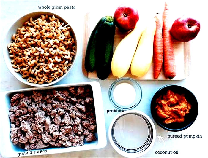 homemade dog food essentials