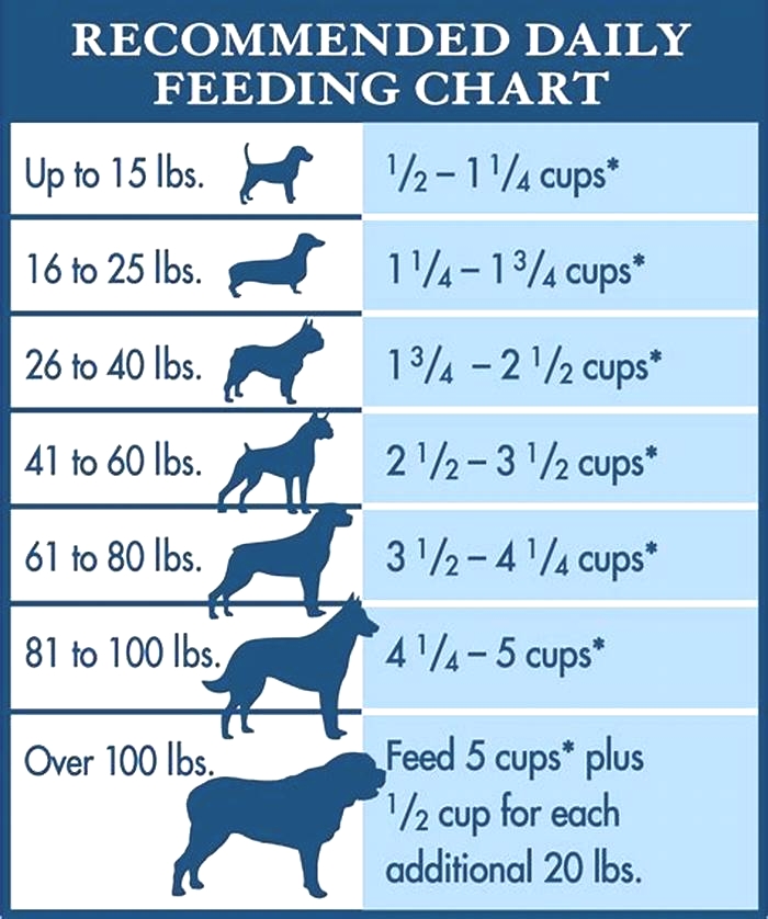 homemade dog food feeding chart by weight