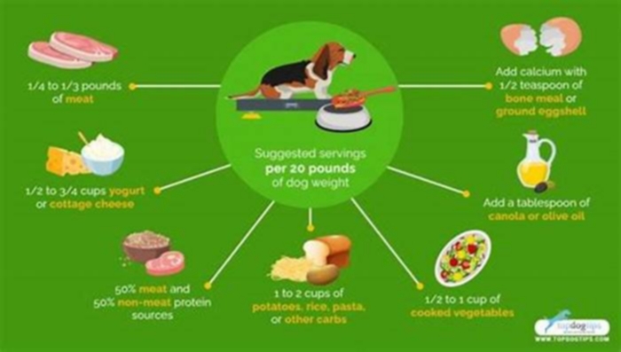 homemade dog food feeding chart