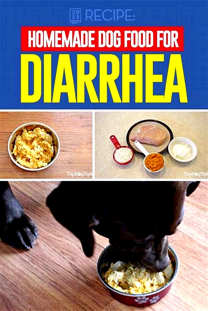 homemade dog food for diarrhea