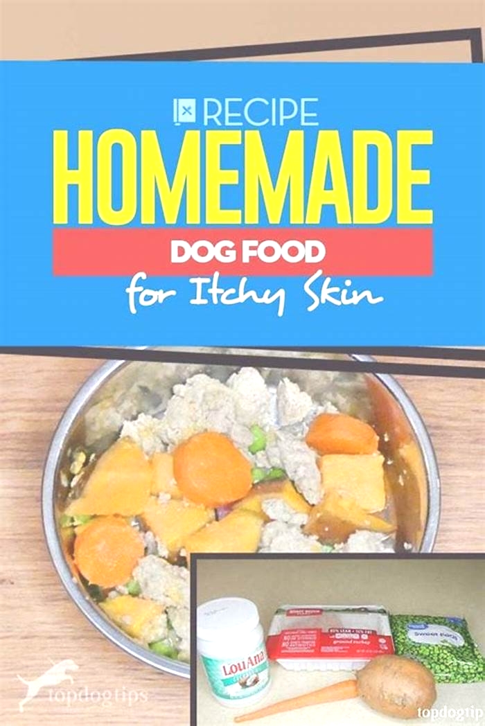 homemade dog food for itchy skin