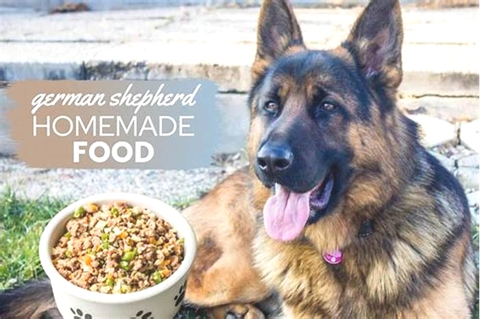 homemade dog food german shepherd