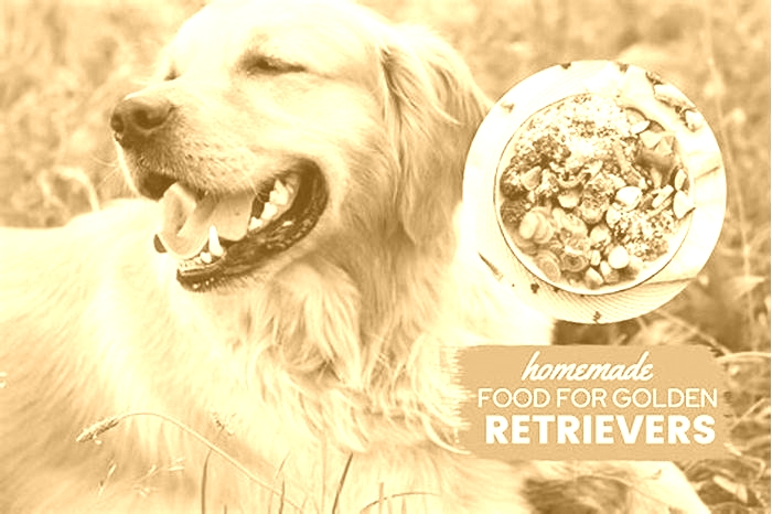 homemade dog food golden retriever