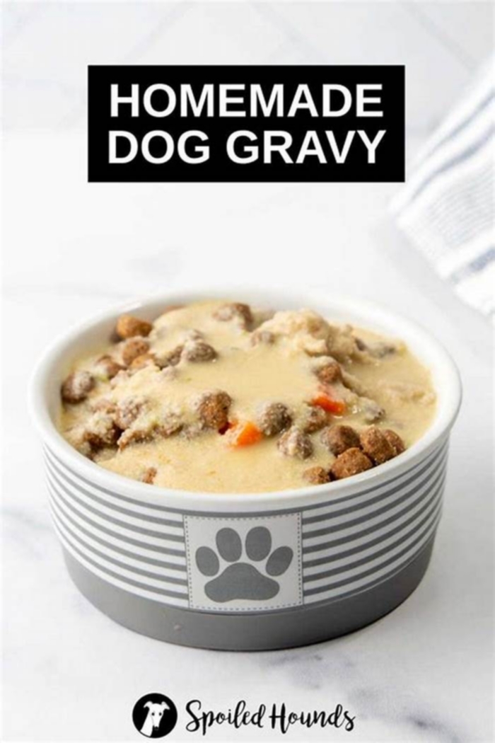 homemade dog food gravy recipes