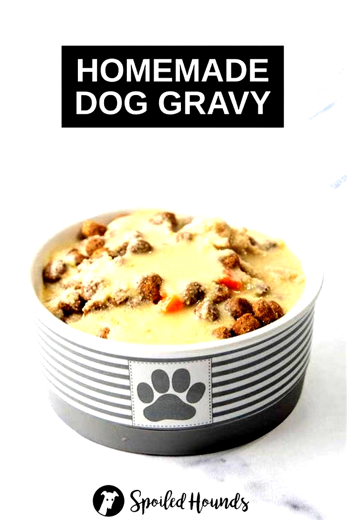 homemade dog food gravy