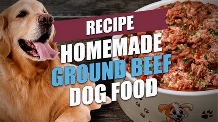 homemade dog food ground beef