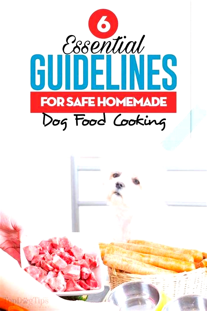 homemade dog food guidelines