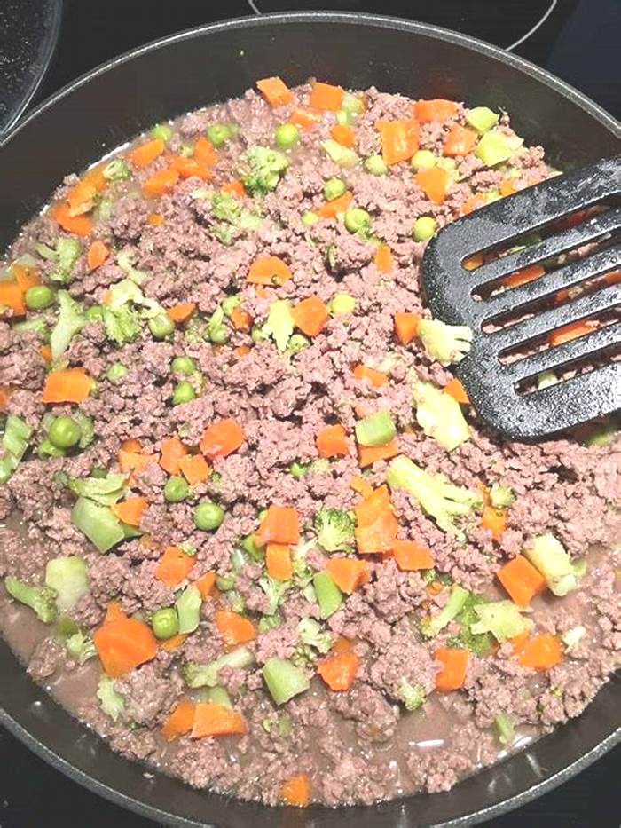 homemade dog food hamburger