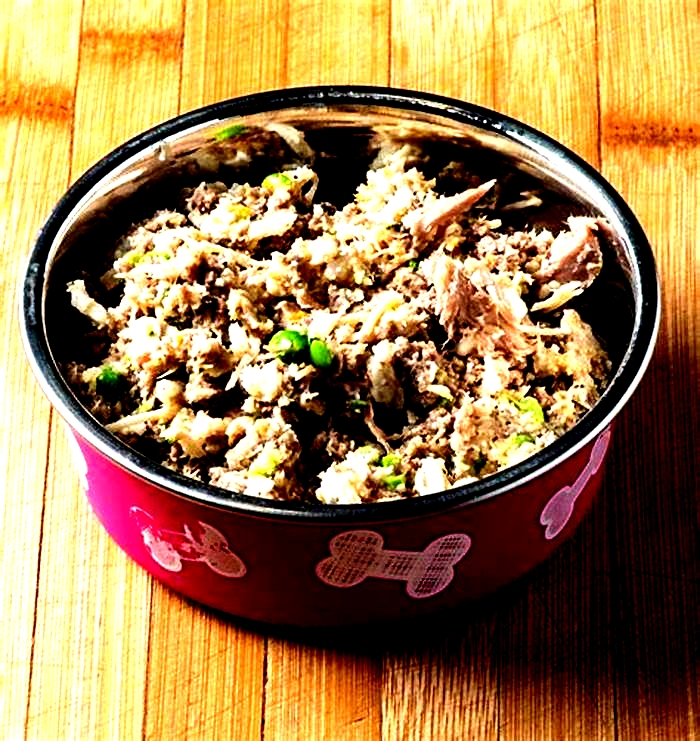 homemade dog food healthy