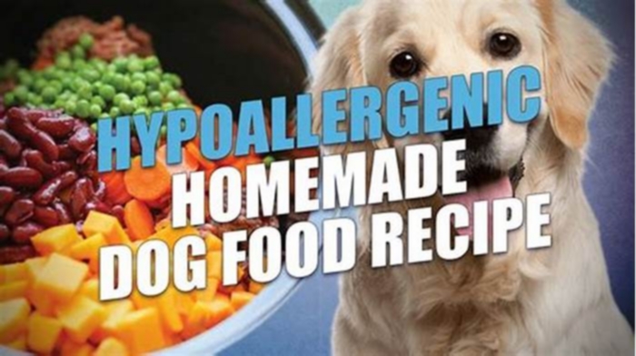 homemade dog food hypoallergenic