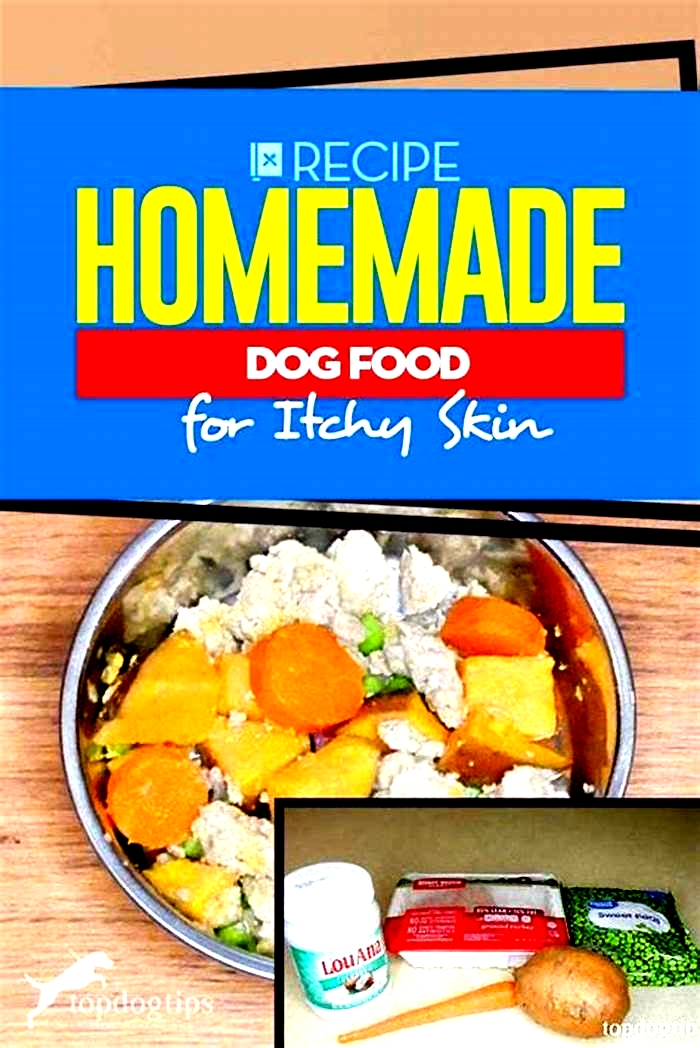 homemade dog food itchy skin