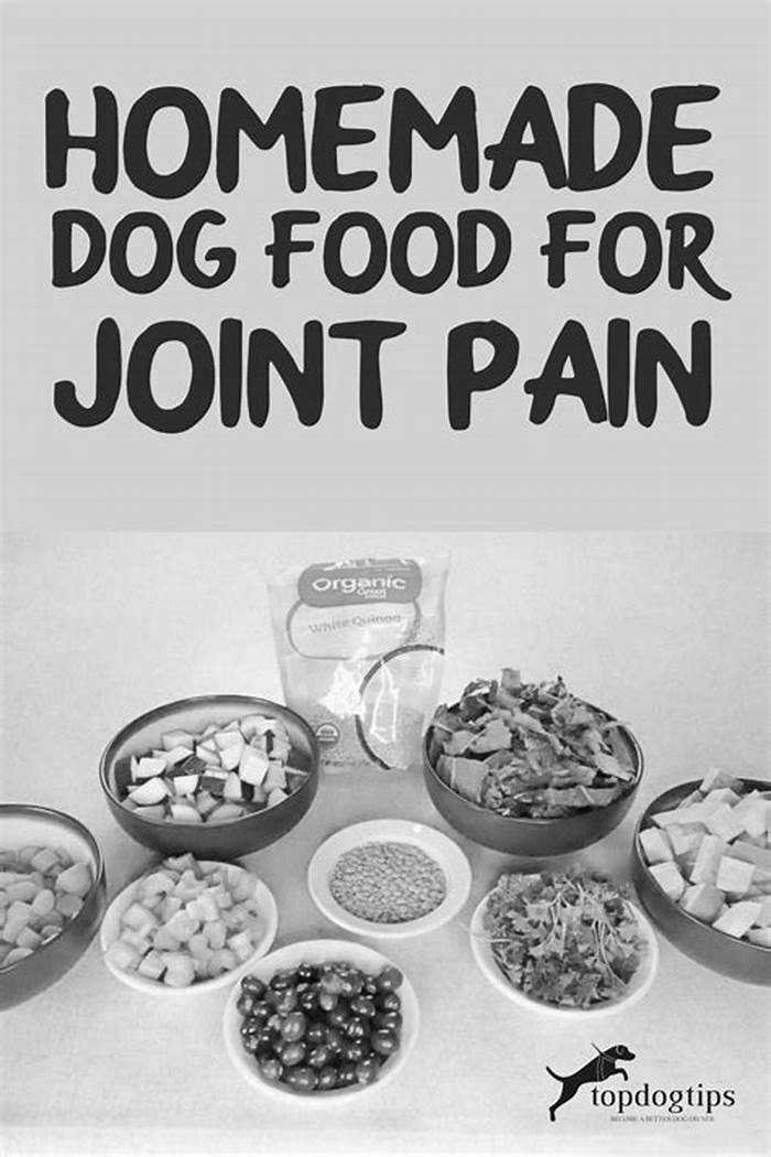 homemade dog food joints