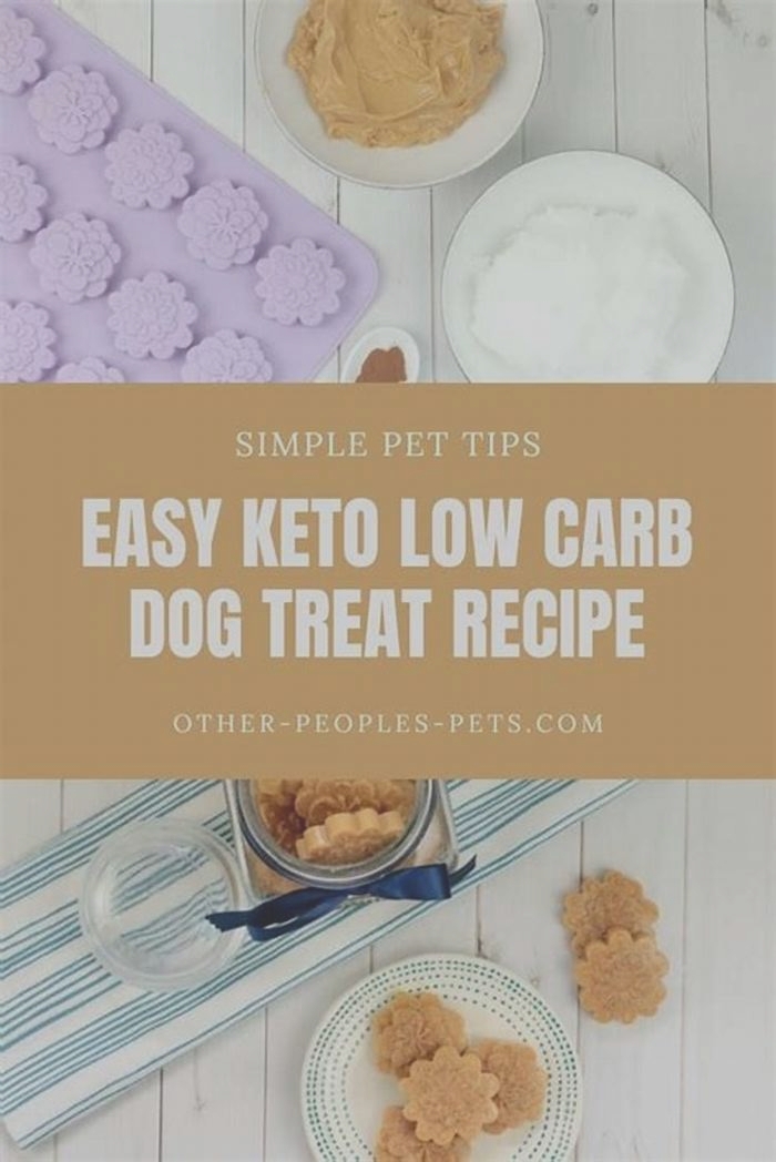 homemade dog food keto