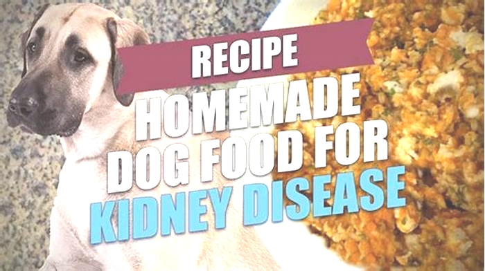 homemade dog food kidney disease