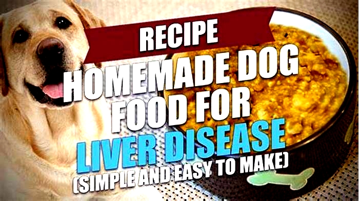 homemade dog food liver disease