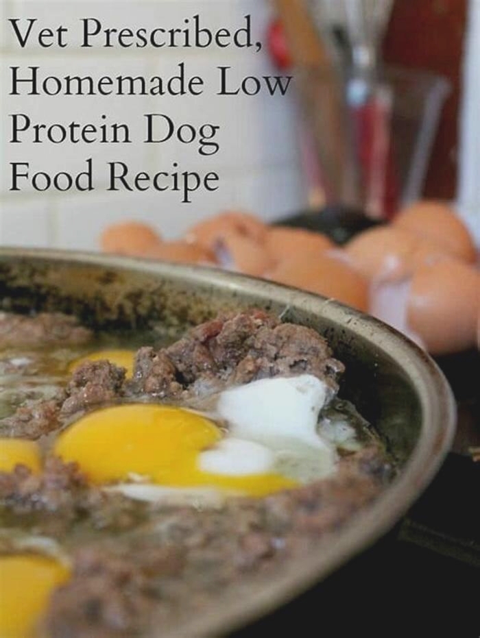 homemade dog food low protein