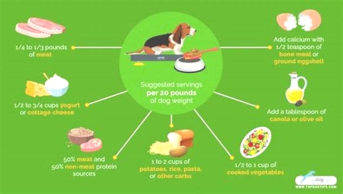 homemade dog food measurements