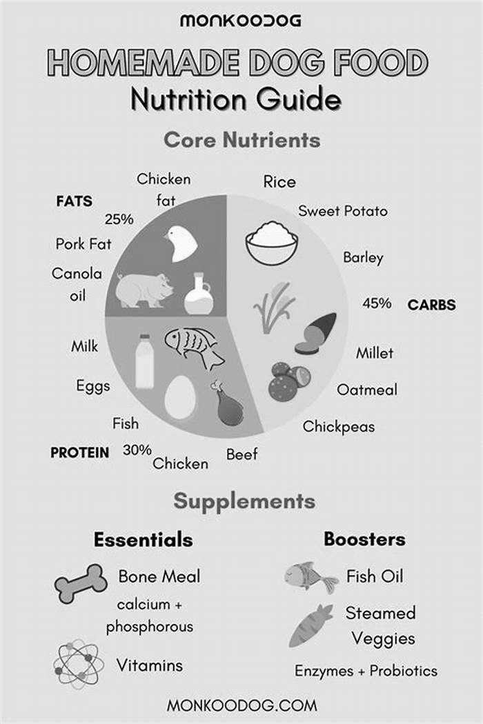 homemade dog food nutrition guide