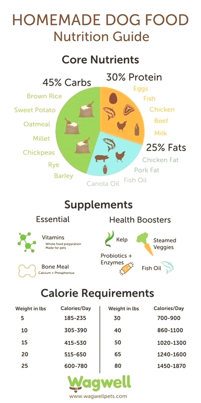 homemade dog food nutrition ratio