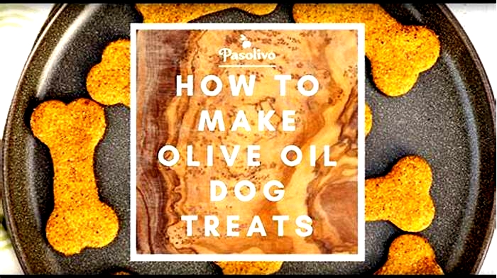 homemade dog food olive oil