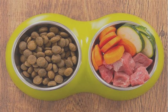 homemade dog food options