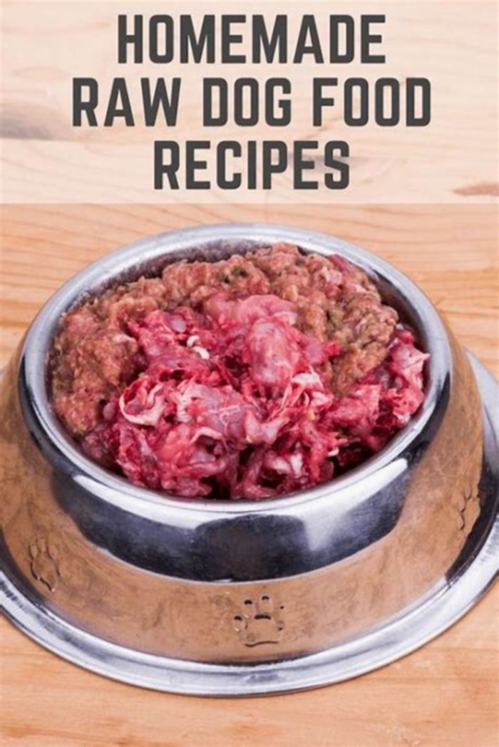 homemade dog food organ meat