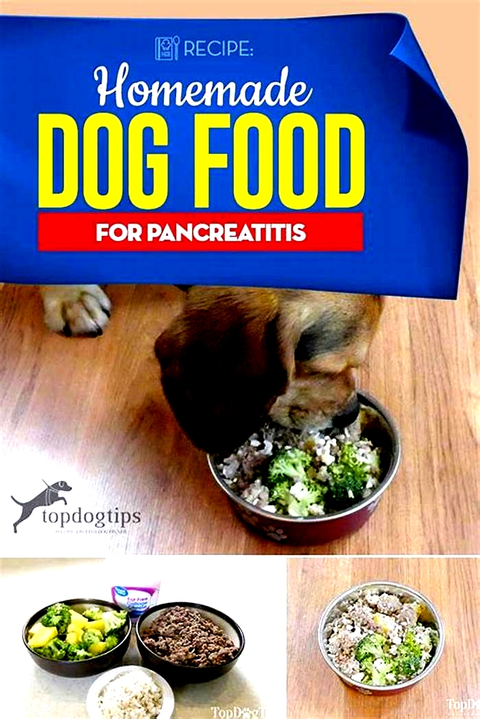 homemade dog food pancreatitis