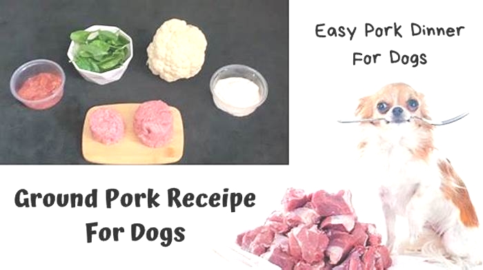 homemade dog food pork