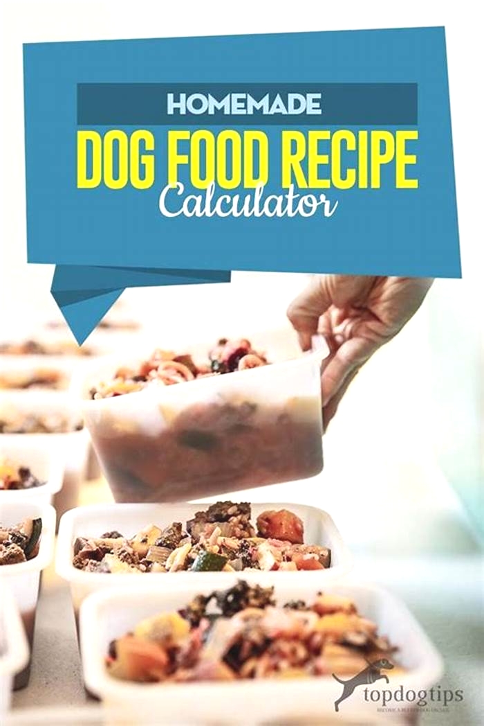 homemade dog food portion calculator